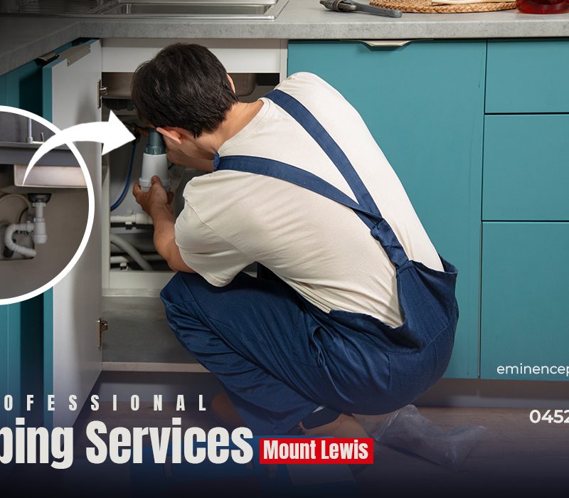 Professional plumbing services