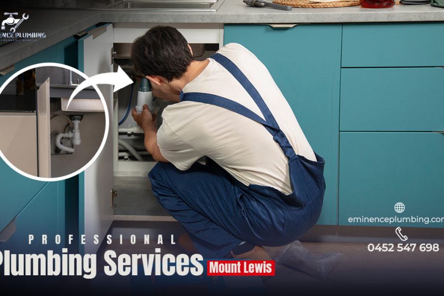 Professional plumbing services