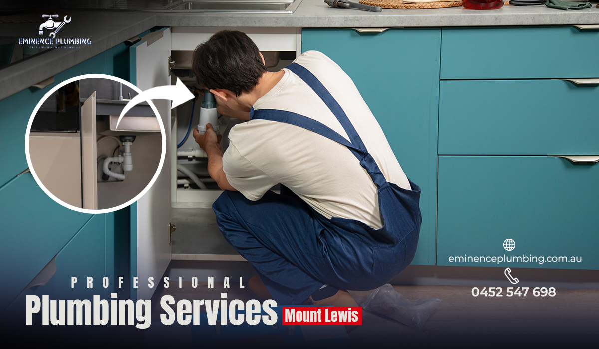 Professional Plumbing Services- Great Plumbers You Can Trust