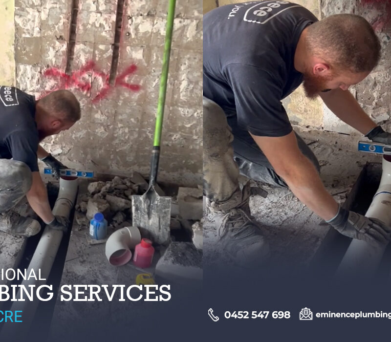 Professional plumbing services